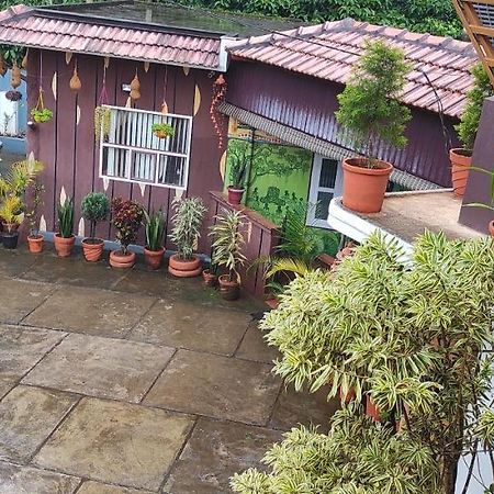 Pepper Valley Resort Kalpatta Dış mekan fotoğraf